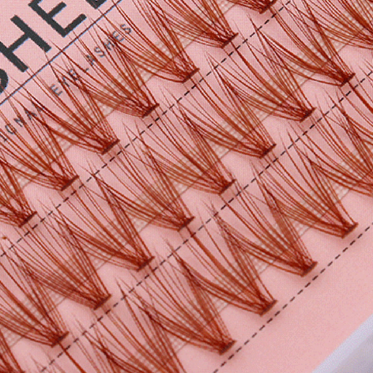 Twilight Temptation 3 Rows Segmented Natural Lashes