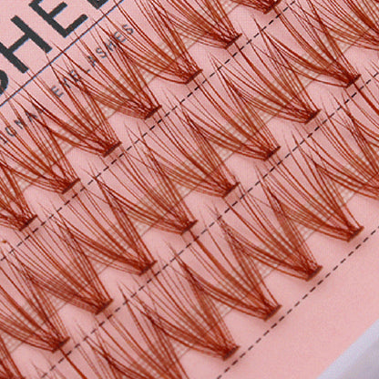 Twilight Temptation 3 Rows Segmented Natural Lashes