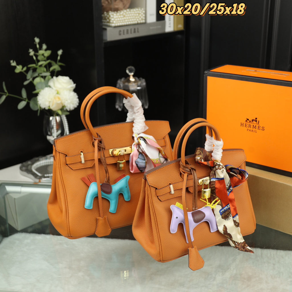 HMS Birkin platinum handbag 0724090201