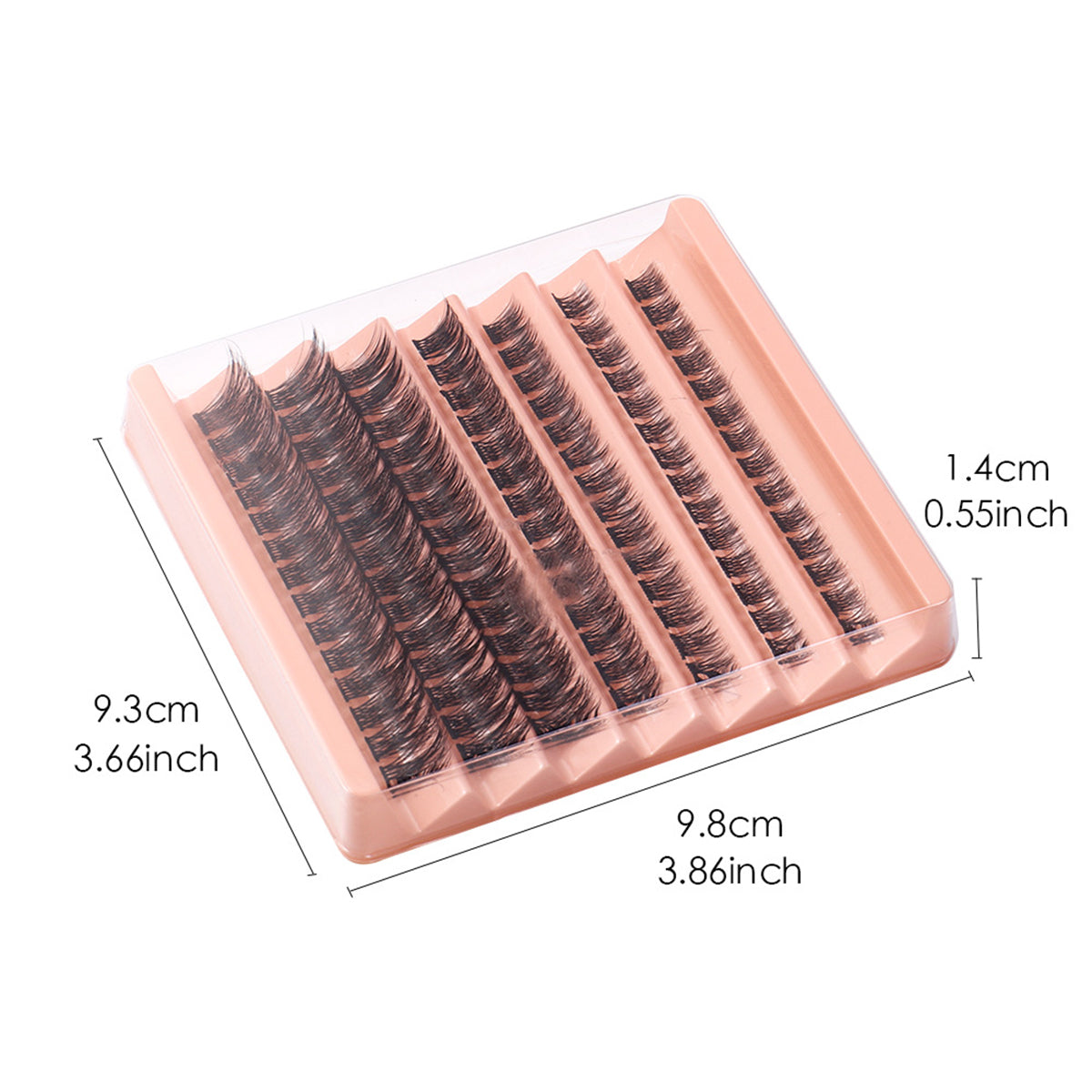 Fashion Show Segmented Natural Lashes