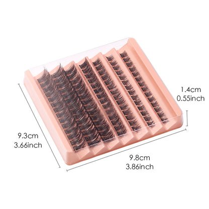 Fashion Show Segmented Natural Lashes