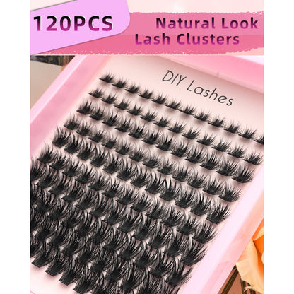 Alluring Arc Segmented Natural Lashes