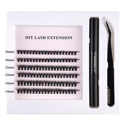 Midnight Feathers Segmented Natural Lashes