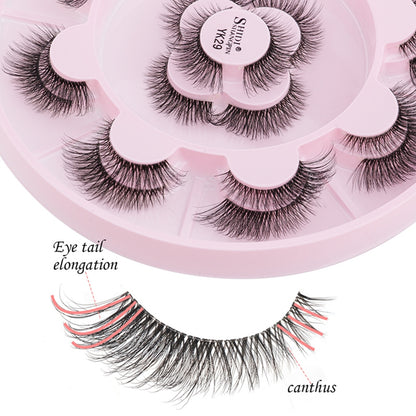 Eclipse Soul 11 Pairs Natural Lashes